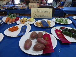 Some of the 1st and 2nd place winners in Children's Veggies (2012/2013)